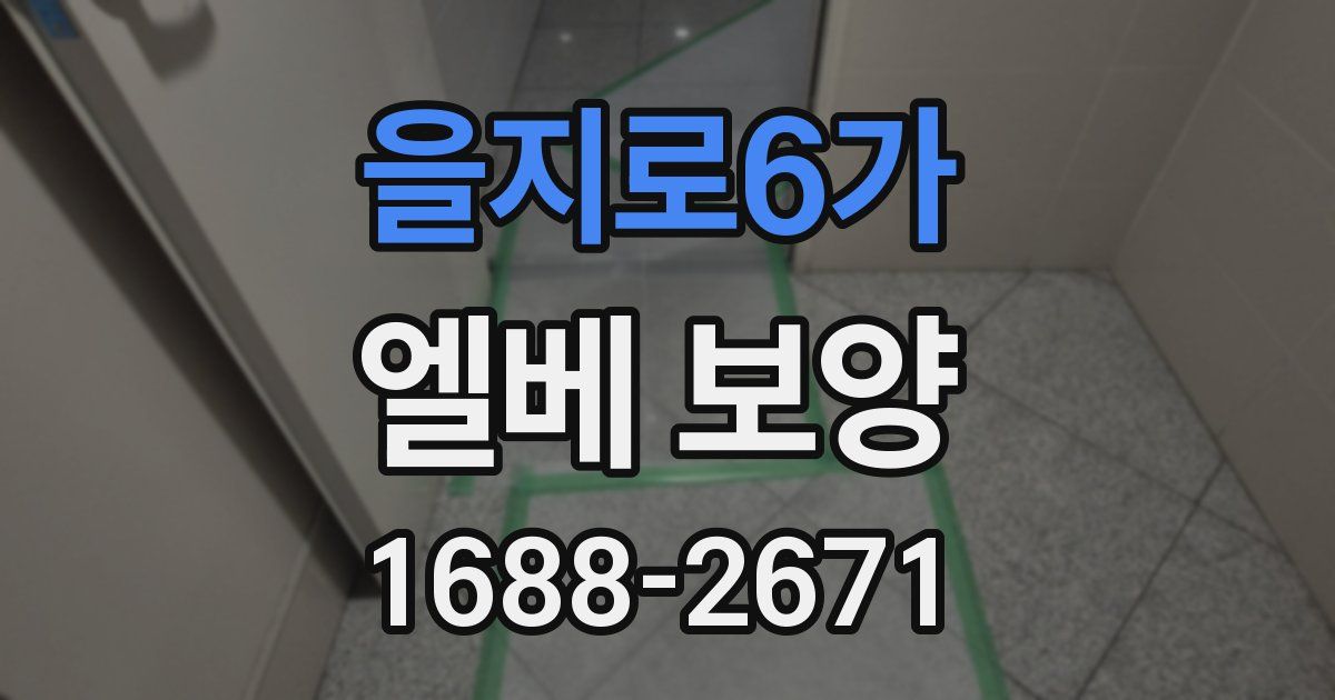 을지로6가 엘베 보양