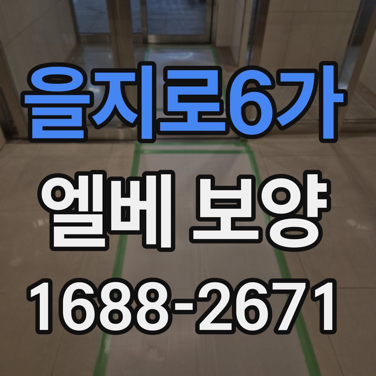 을지로6가 엘베 보양
