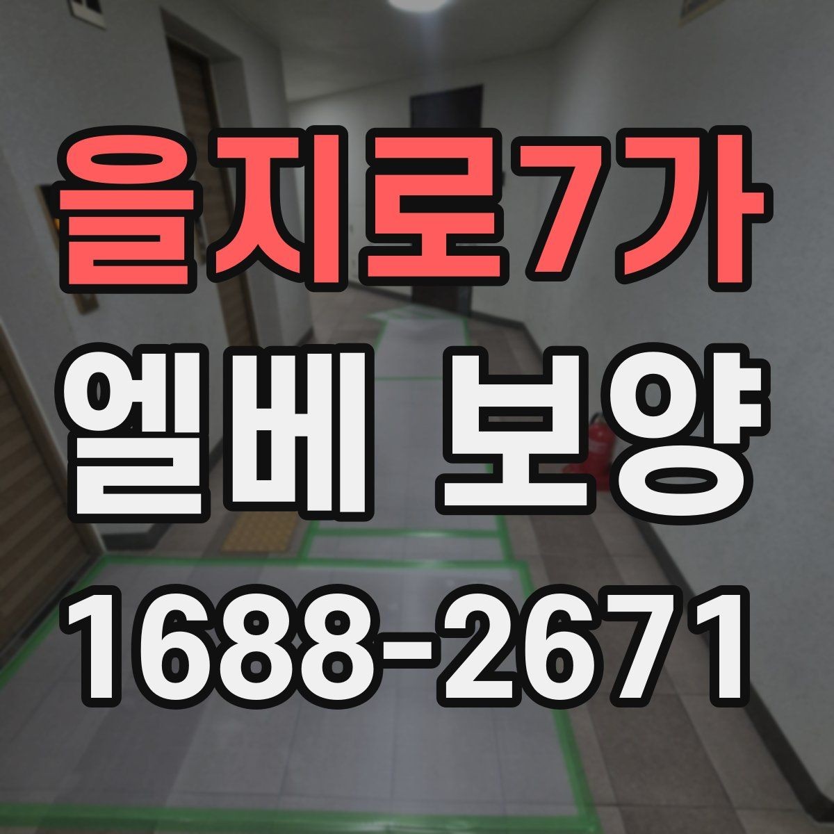 을지로7가 엘베 보양 훼손 흔적 점검과 정리 방법