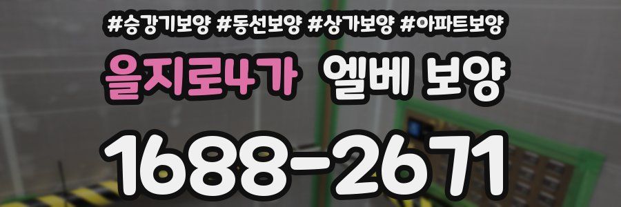 을지로4가 엘베 보양