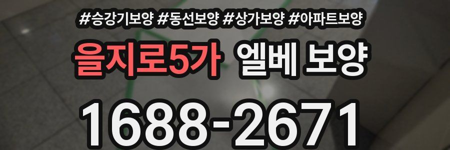 을지로5가 엘베 보양