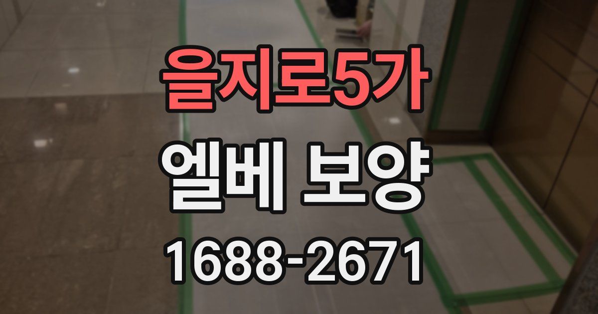 을지로5가 엘베 보양