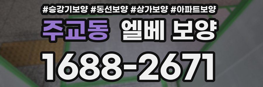 주교동 엘베 보양