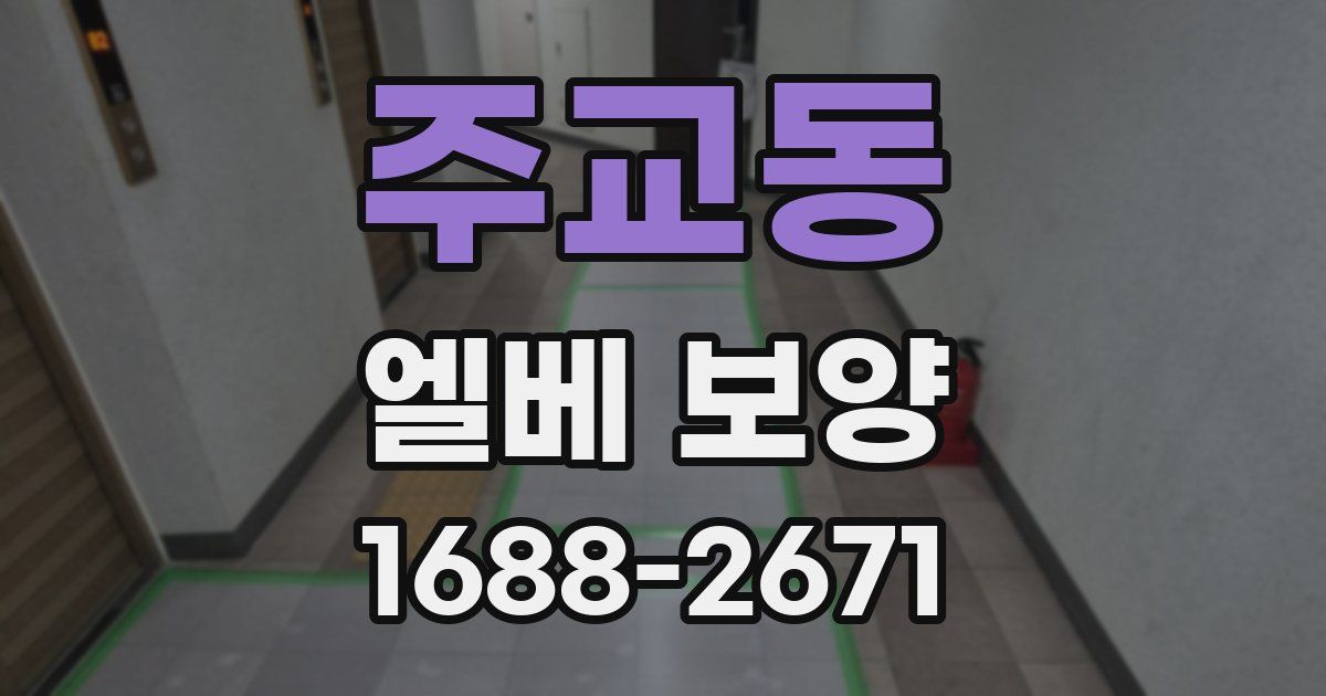 주교동 엘베 보양