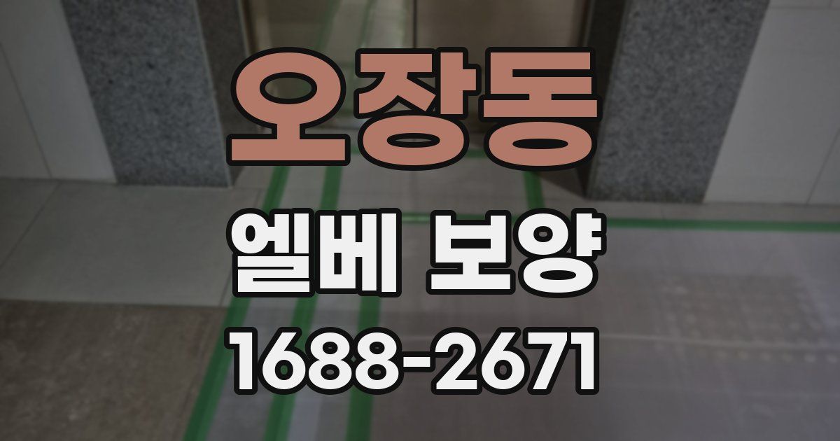 오장동 엘베 보양