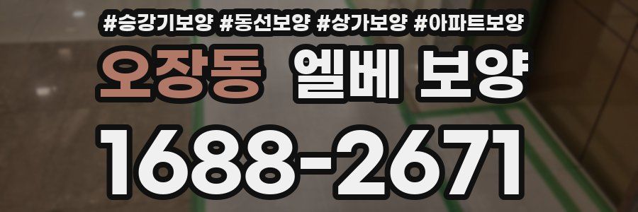 오장동 엘베 보양