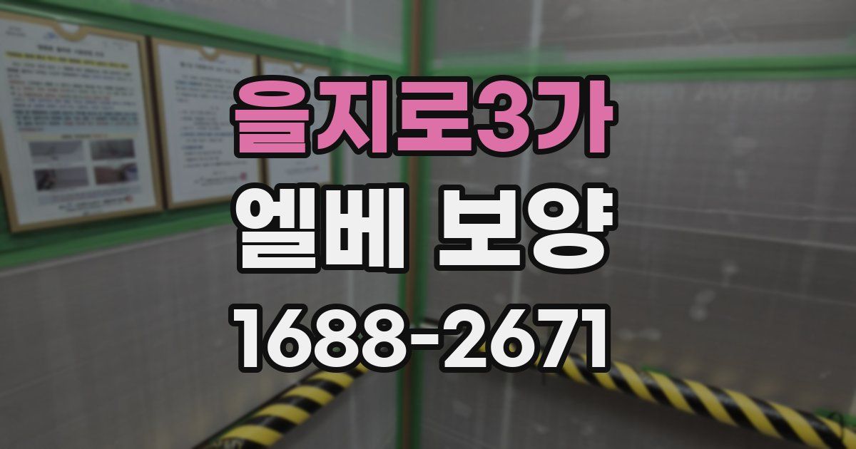 을지로3가 엘베 보양