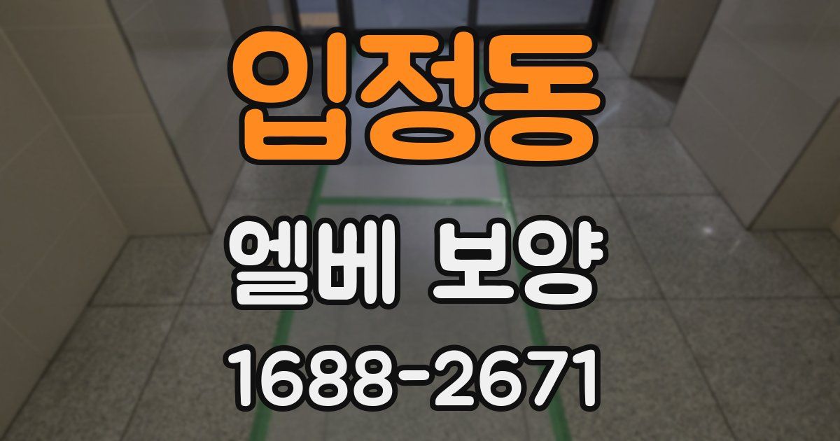 입정동 엘베 보양