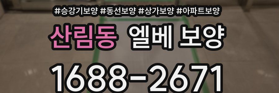 산림동 엘베 보양