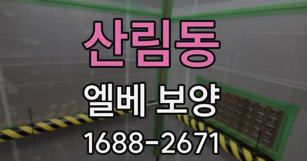 산림동 엘베 보양