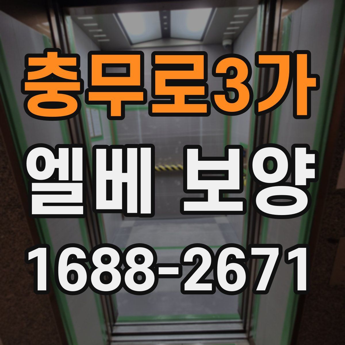 충무로3가 엘베 보양