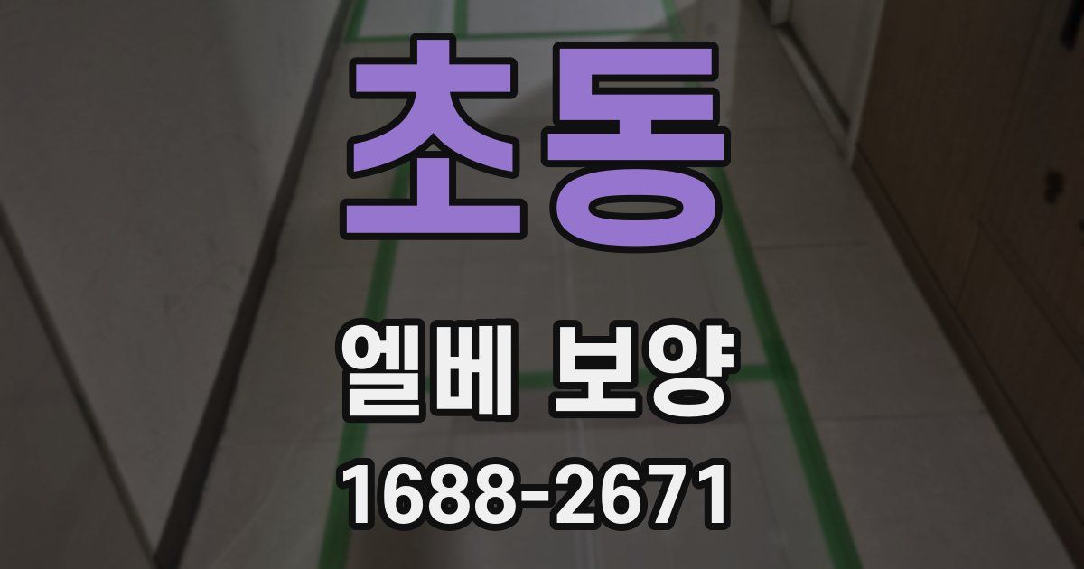 초동 엘베 보양