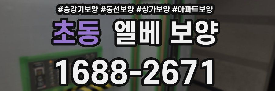 초동 엘베 보양
