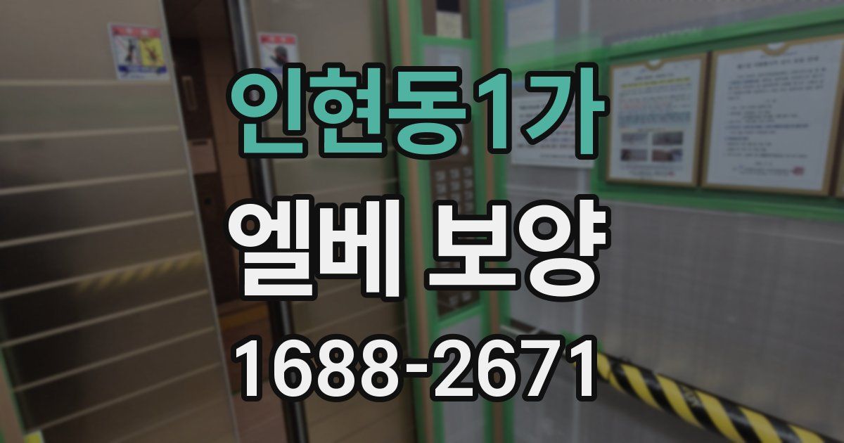 인현동1가 엘베 보양