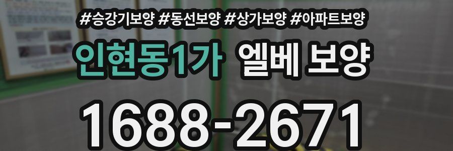 인현동1가 엘베 보양