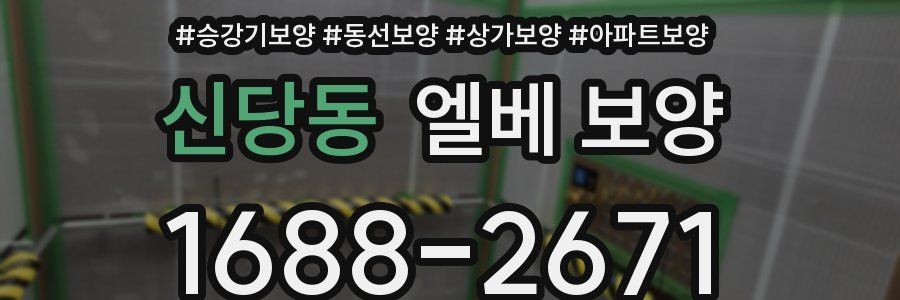신당동 엘베 보양