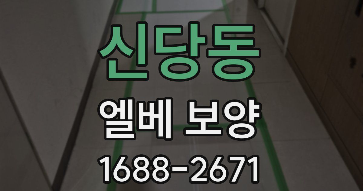 신당동 엘베 보양