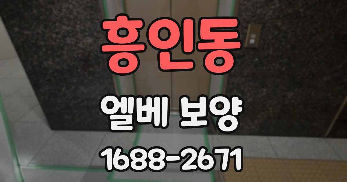 흥인동 엘베 보양
