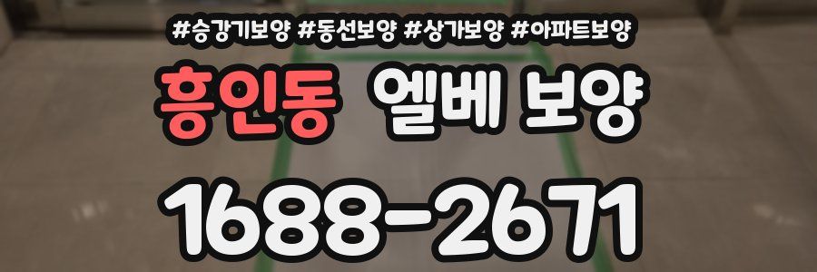 흥인동 엘베 보양