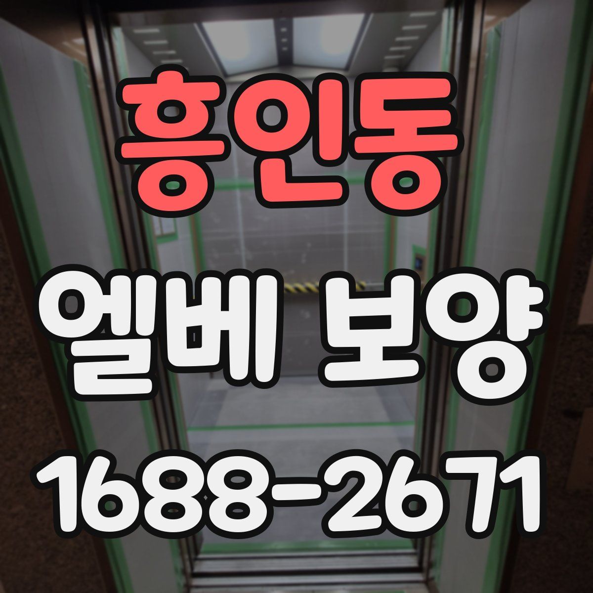 흥인동 엘베 보양