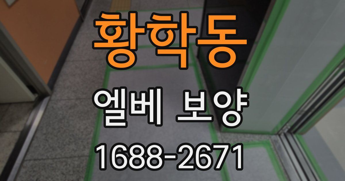 황학동 엘베 보양