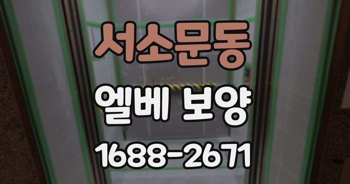 서소문동 엘베 보양