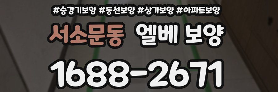 서소문동 엘베 보양