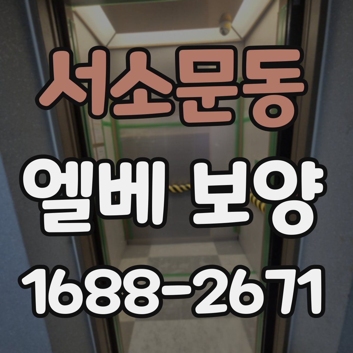 서소문동 엘베 보양