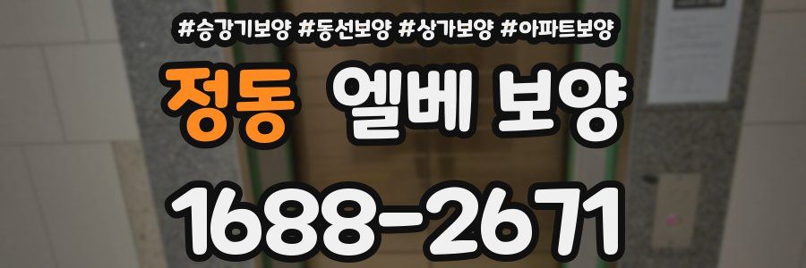 정동 엘베 보양