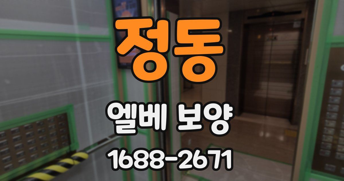 정동 엘베 보양