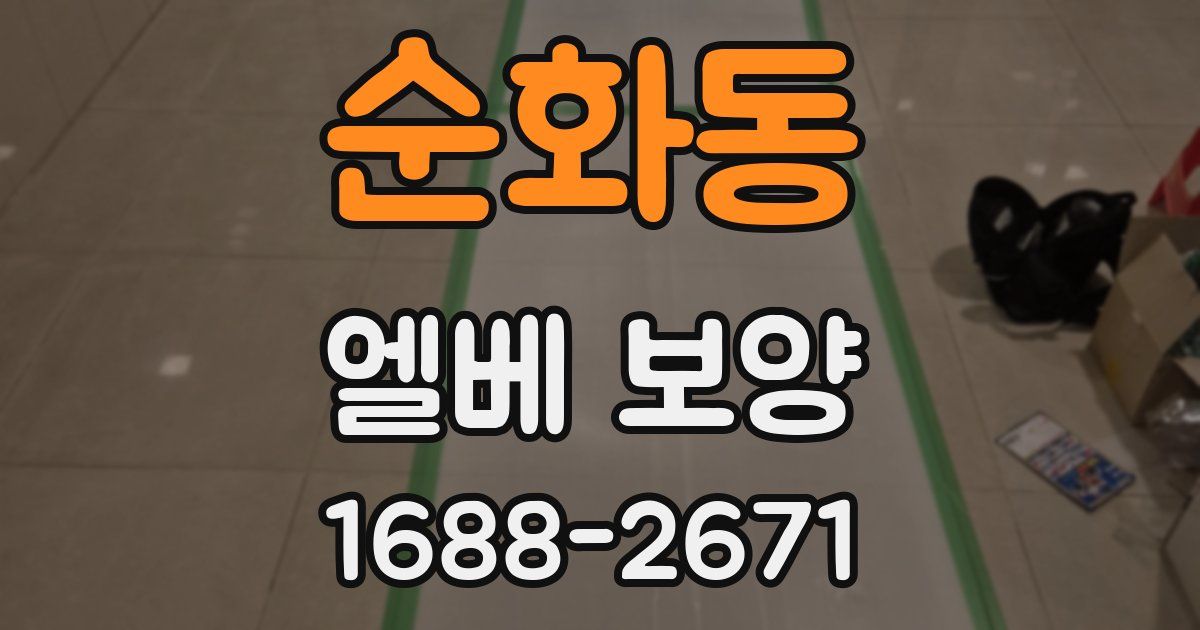 순화동 엘베 보양