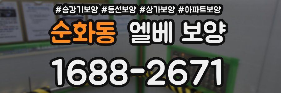 순화동 엘베 보양