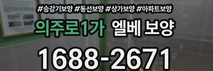 의주로1가 엘베 보양