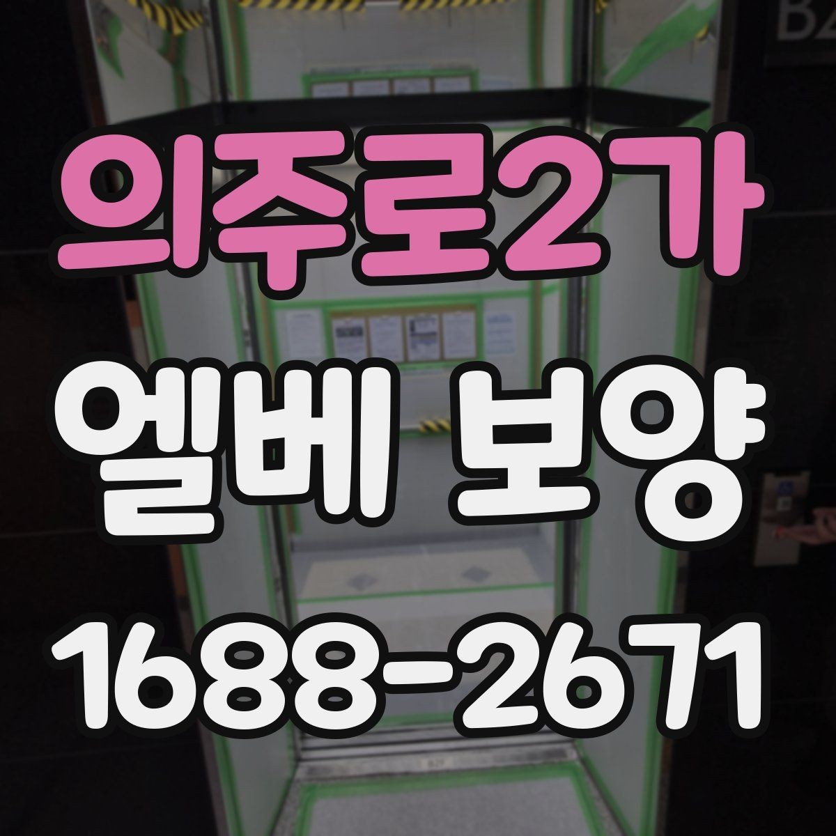 의주로2가 엘베 보양 보양 사진 기록이 필요한 현장 운영 포인트
