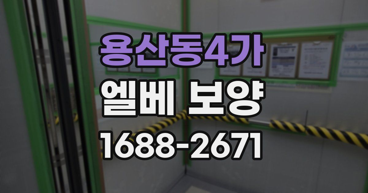 용산동4가 엘베 보양