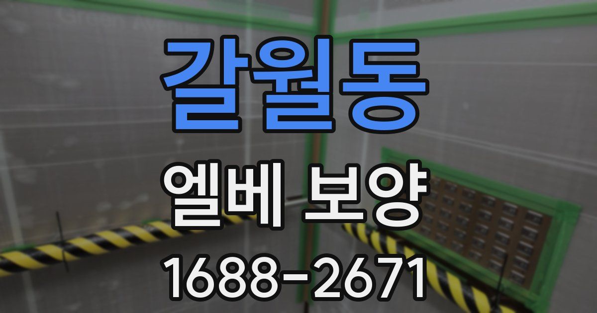갈월동 엘베 보양