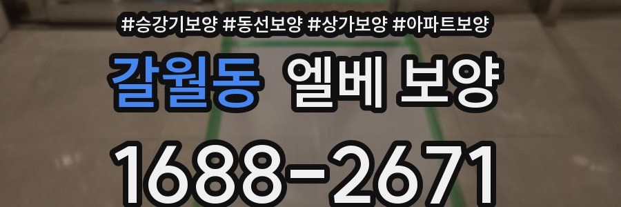 갈월동 엘베 보양