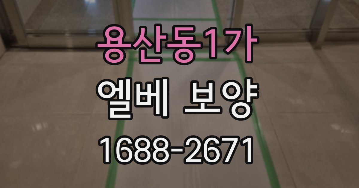 용산동1가 엘베 보양