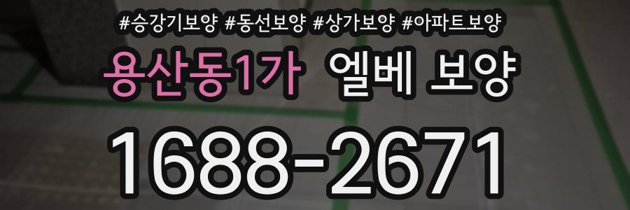 용산동1가 엘베 보양
