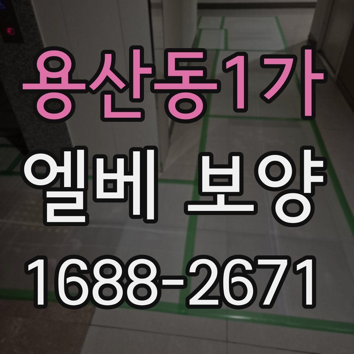 용산동1가 엘베 보양