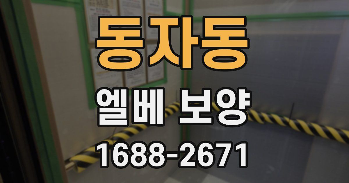 동자동 엘베 보양