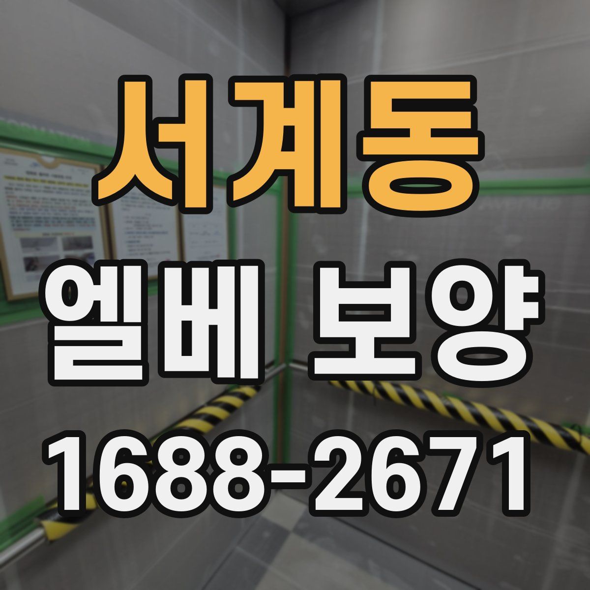 서계동 엘베 보양