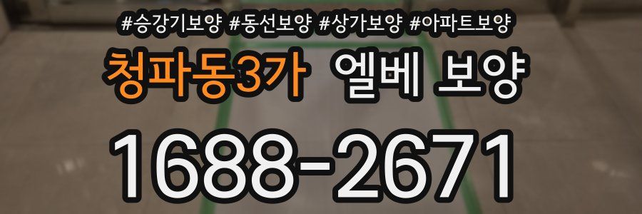 청파동3가 엘베 보양