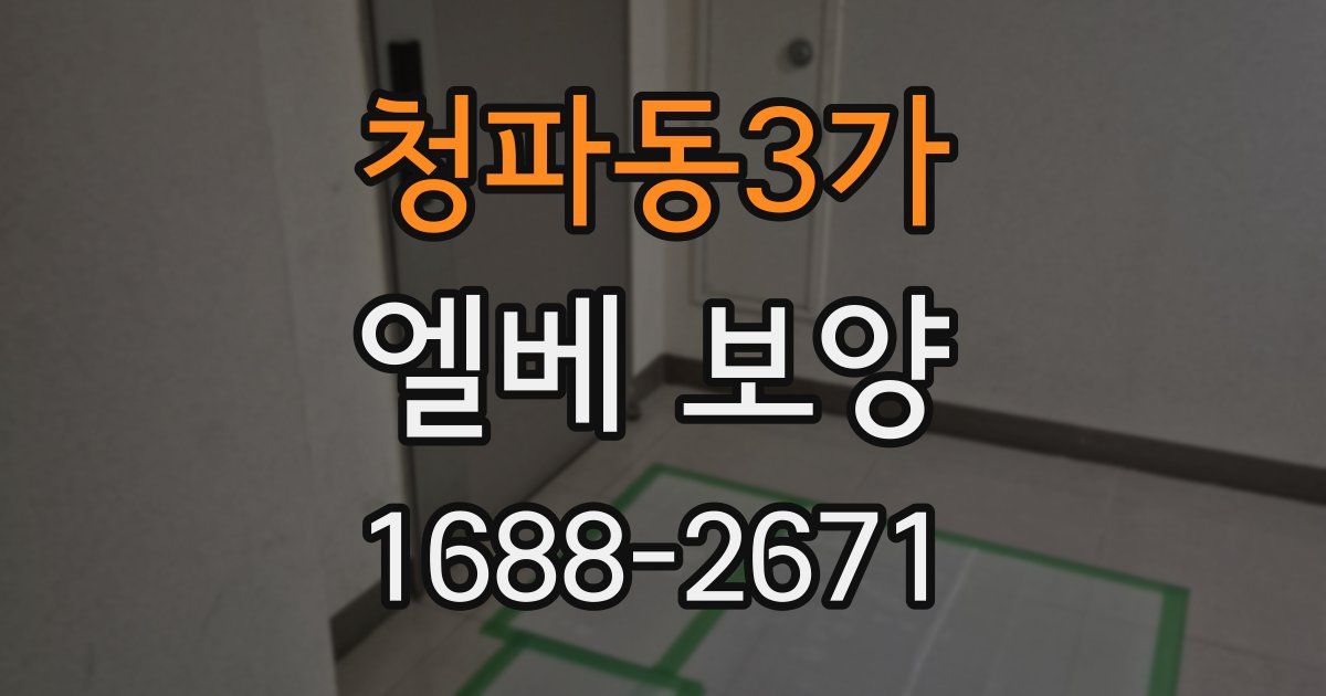 청파동3가 엘베 보양
