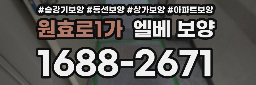 원효로1가 엘베 보양