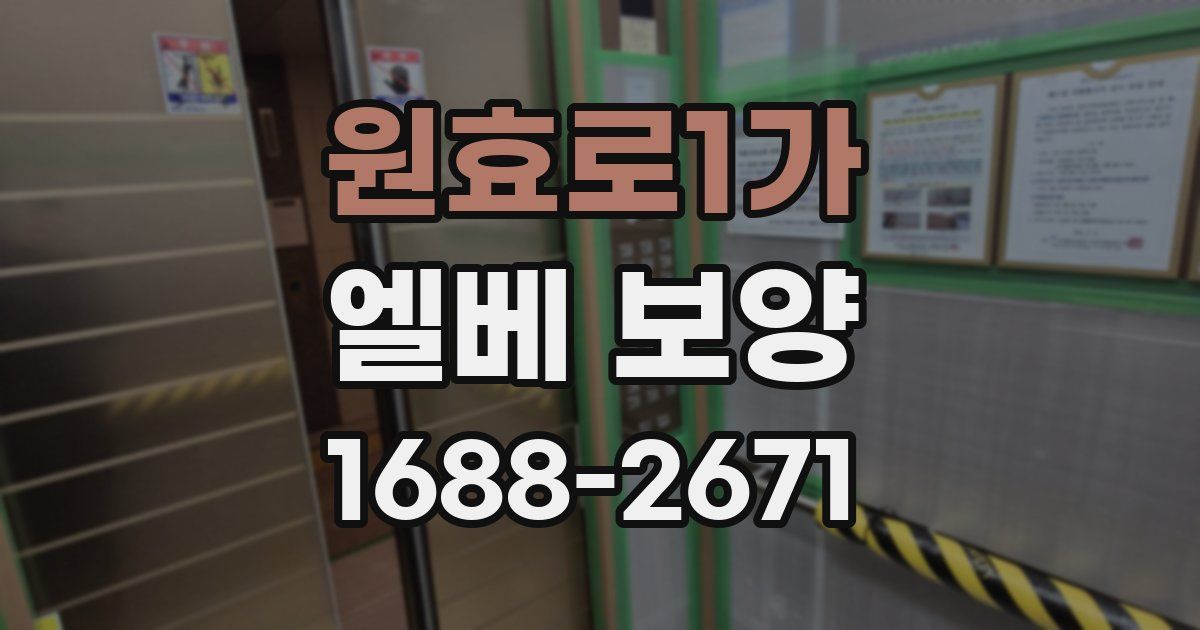 원효로1가 엘베 보양