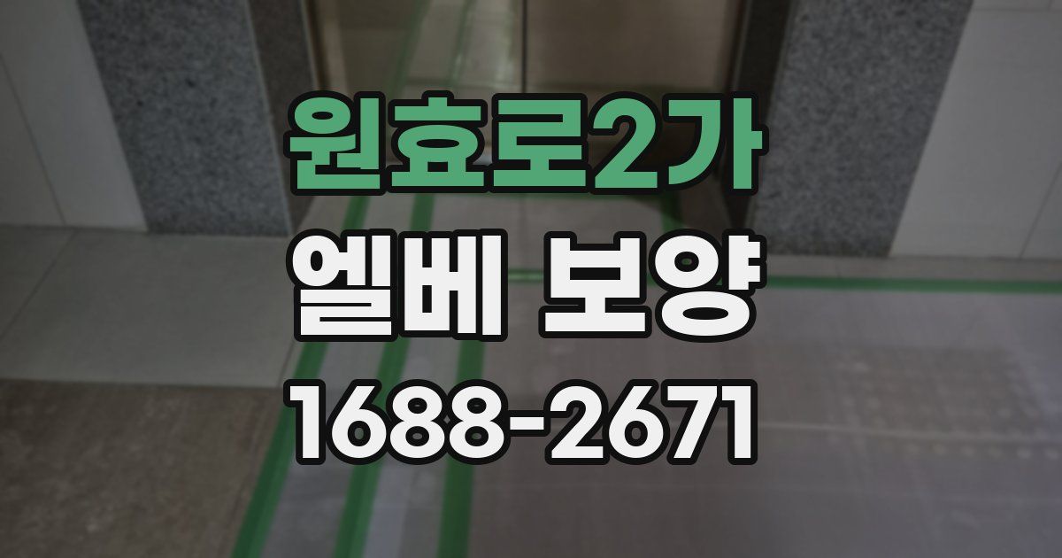 원효로2가 엘베 보양