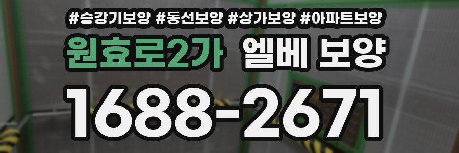 원효로2가 엘베 보양