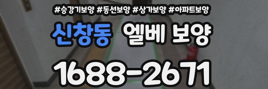 신창동 엘베 보양