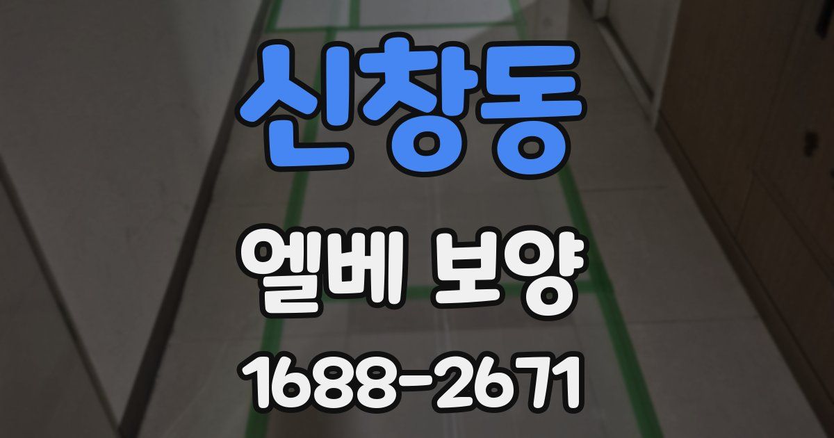 신창동 엘베 보양